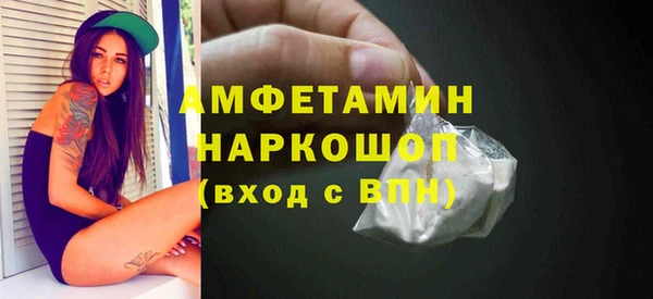 гашик Няндома